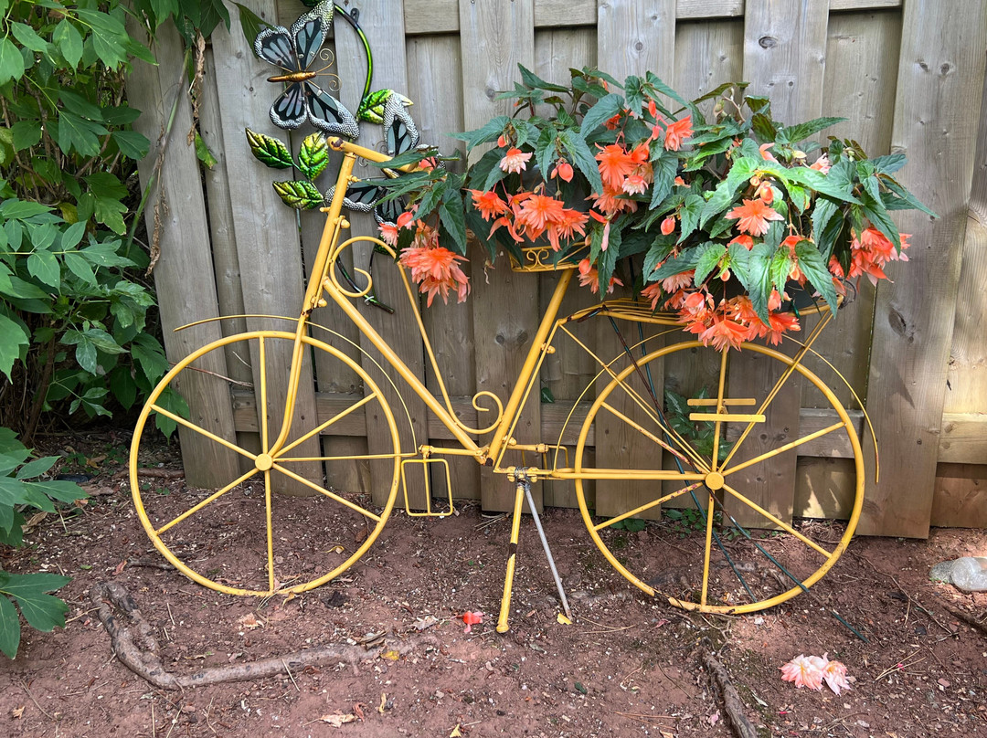 The Bottle Houses-Cape Egmont必去景点