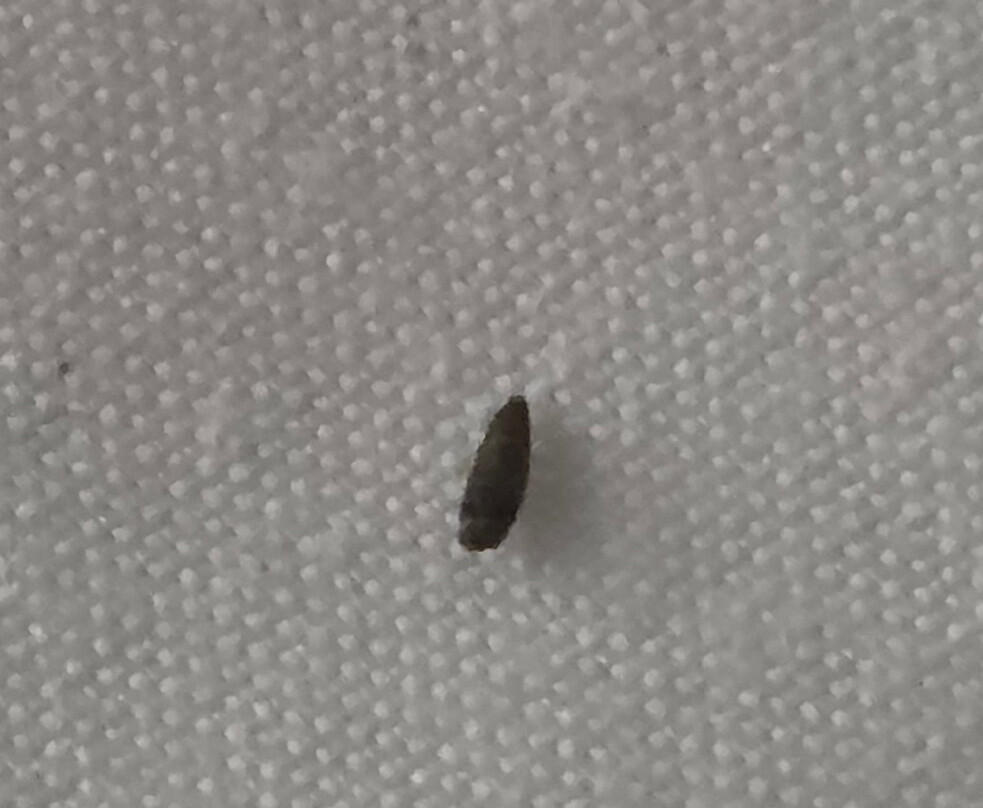 Hôtel Restaurant Gedeon主图