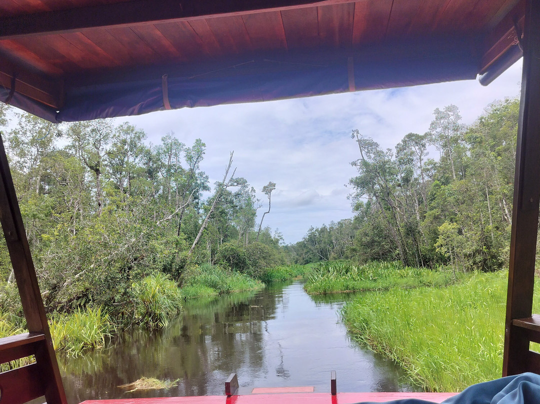 Guia En Borneo-Pangkalan Bun必去景点