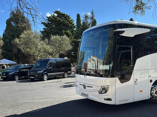 Gold Limousine  - Luxury Transport-里斯本必去景点