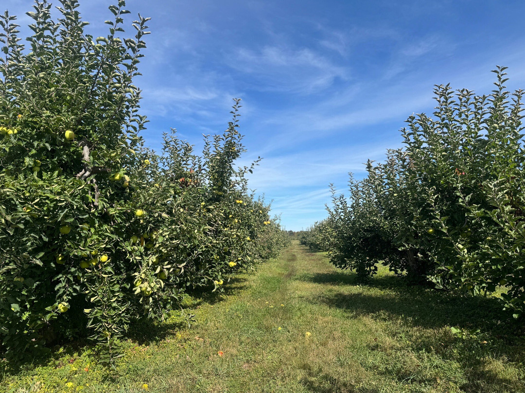 Wright's Farm and Fruit Stand-Gardiner必去景点