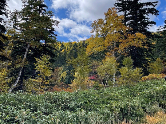 Daisetsuzan Sounkyo - Kurodake Ropeway-上川町必去景点