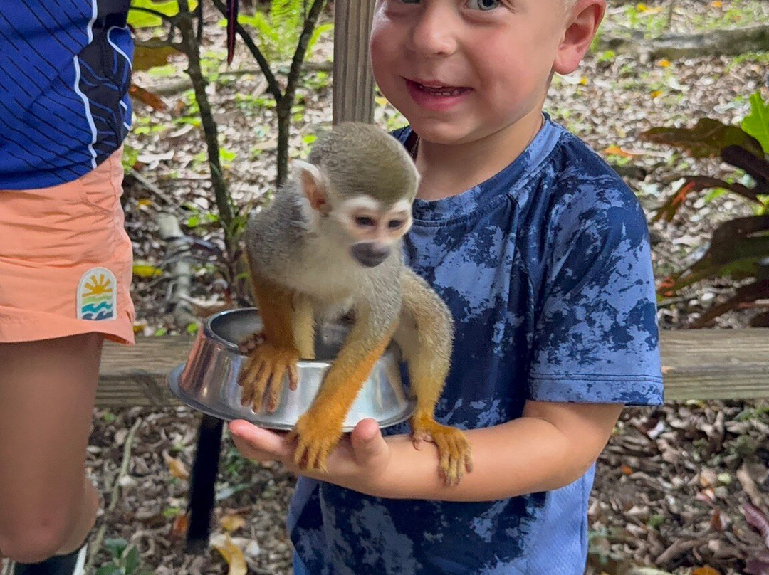 Monkeyland-Higuey必去景点