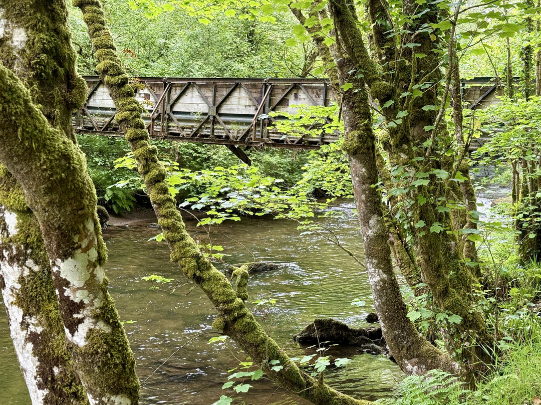 River Barle-Simonsbath必去景点