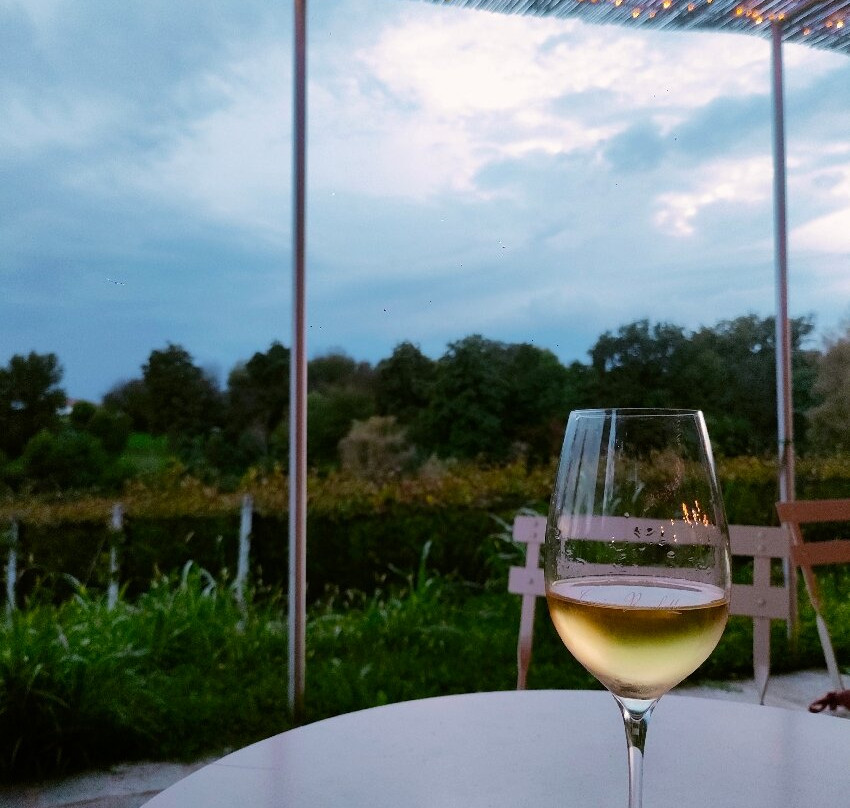 Cascina Ronchetto-Morazzone必去景点