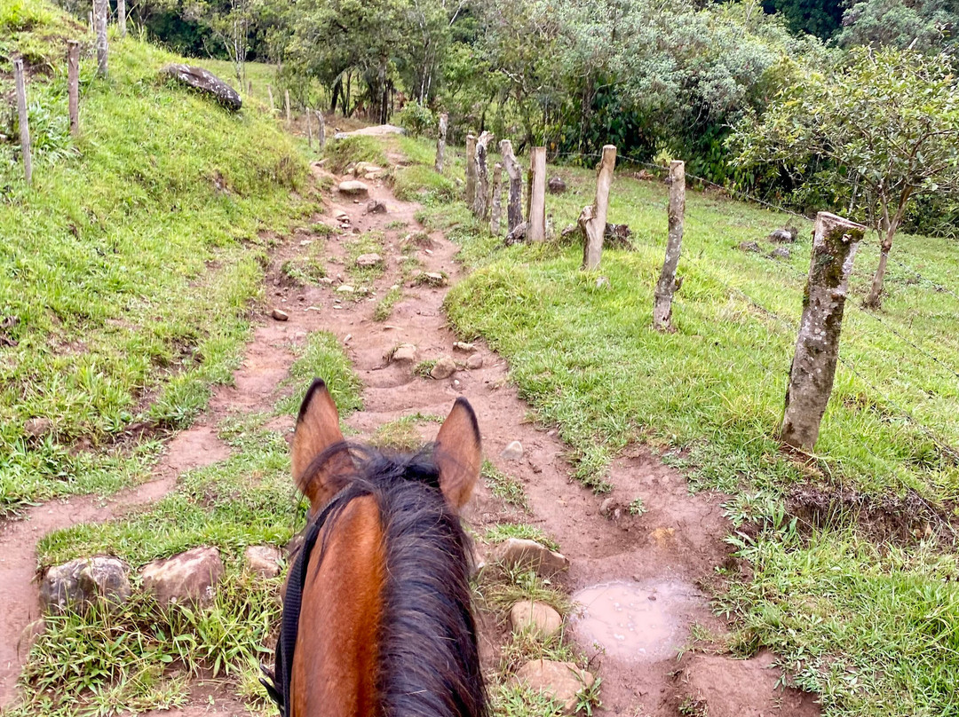 Eco Hotel La Cabana主图
