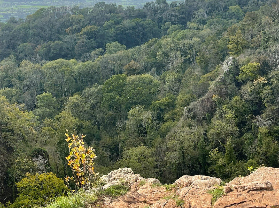 Ebbor Gorge-韦尔斯必去景点