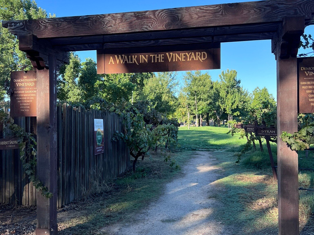 Appellation Lodi - Wine & Roses Resort And Spa主图