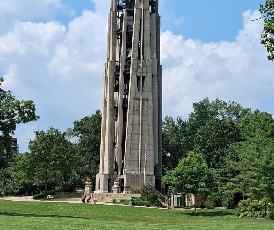 Moser Tower & Millennium Carillon-内珀维尔必去景点