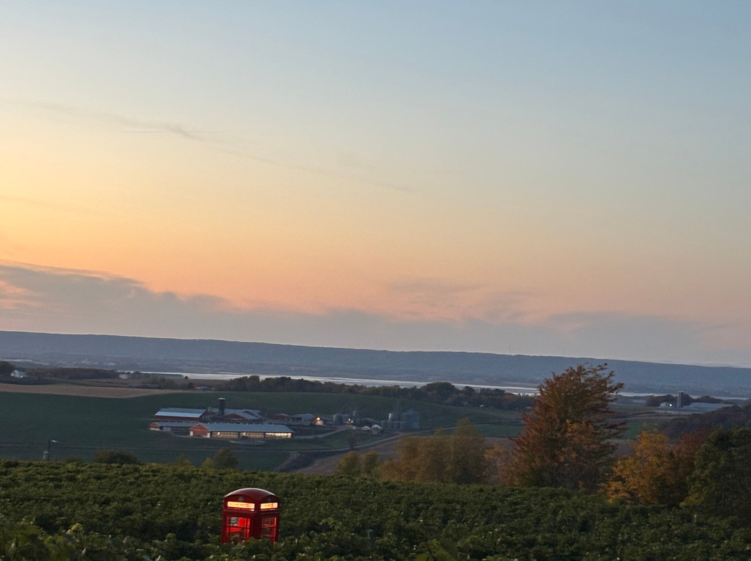 Luckett Vineyards-Wolfville必去景点