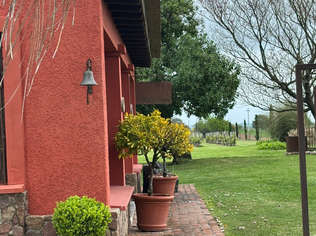 Bodega Boutique El Legado-Carmelo必去景点