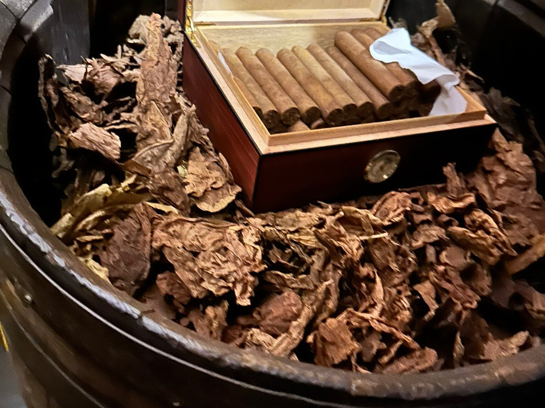 La Aurora Cigar Factory-圣地亚哥必去景点