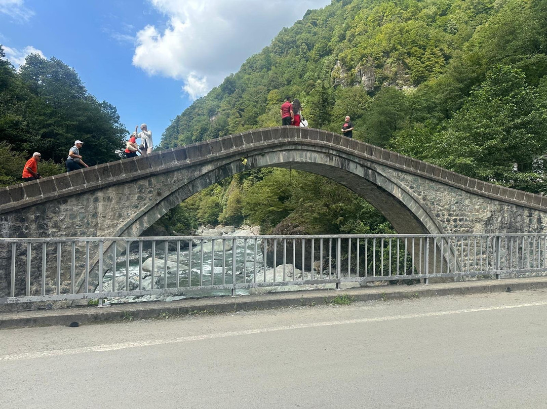 Twin Bridge-Artvin必去景点