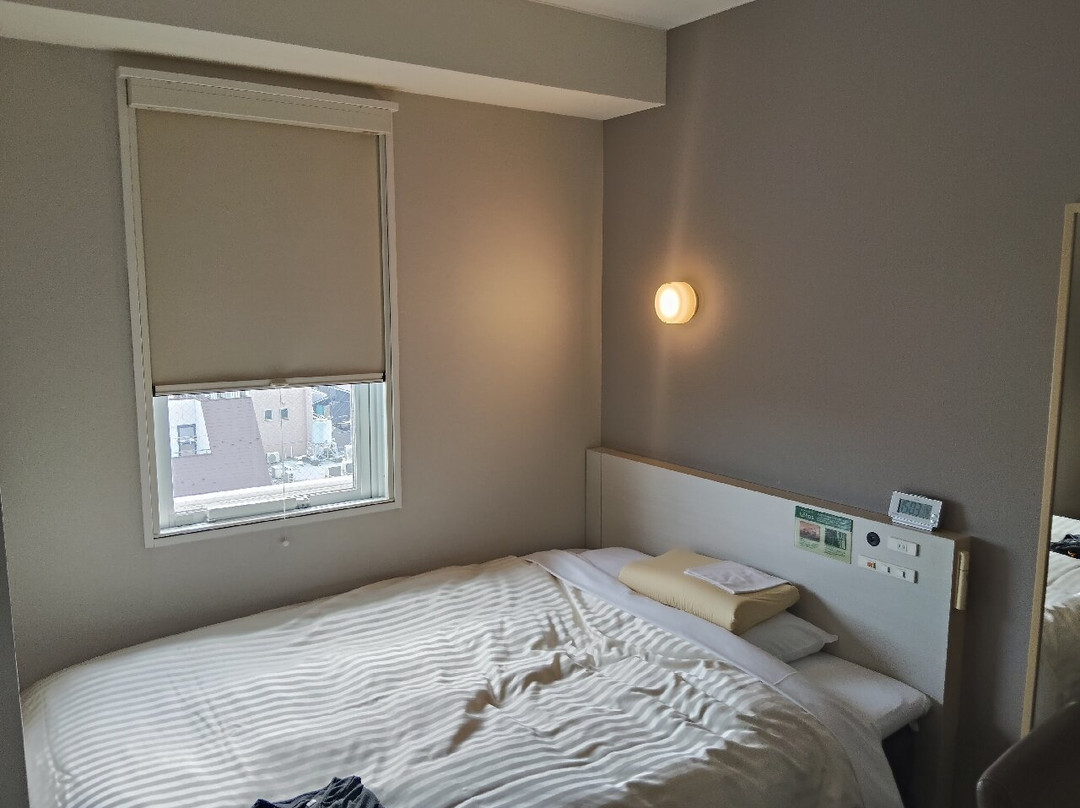 Super Hotel Tokyo JR Shinkoiwa主图