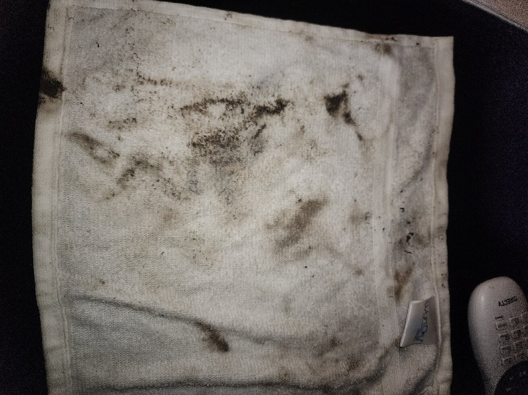 丽思维尔雪松旅馆主图