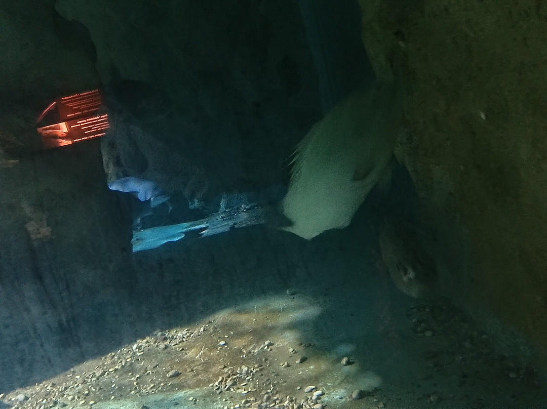 Aquarium Of Faliraki (Aquaworld)-Faliraki必去景点