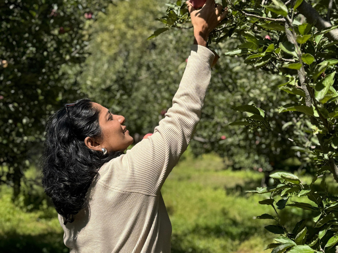 Sunway Kashmir Tour & Travels-斯利那加必去景点