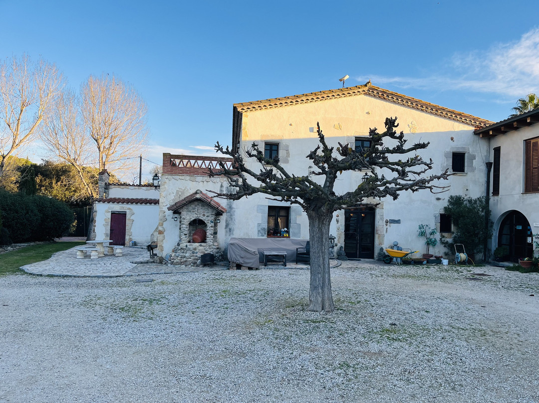 B&B El Ranxo Caldes de Malavella主图