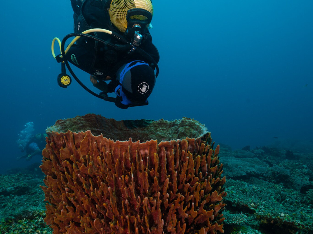 Océane's Dream-Ambatoloaka必去景点