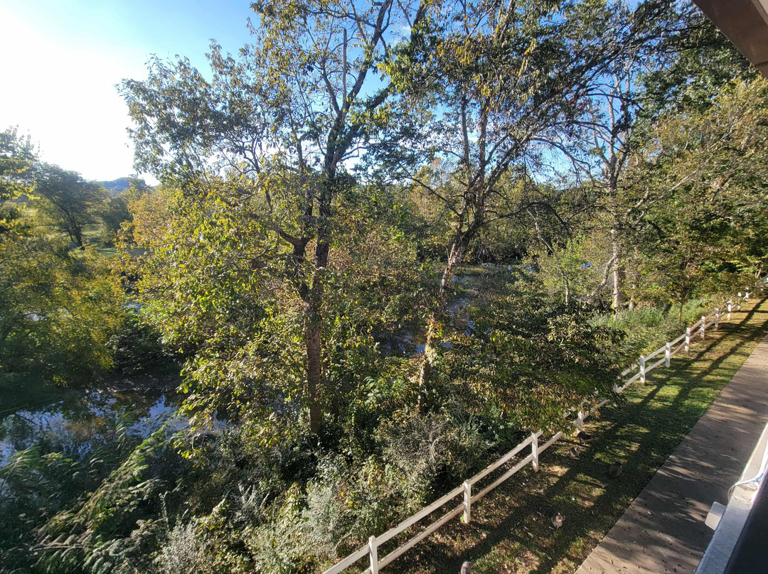 Super 8 by Wyndham Sevierville Riverside主图