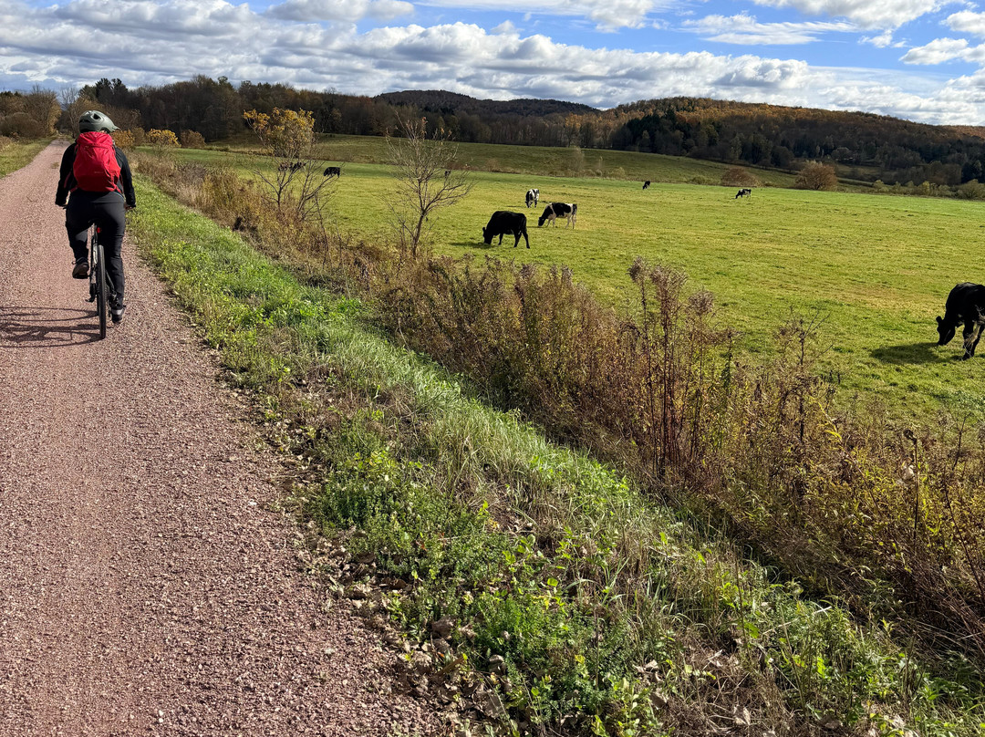 Lamoille Valley Bike Tours-Johnson必去景点