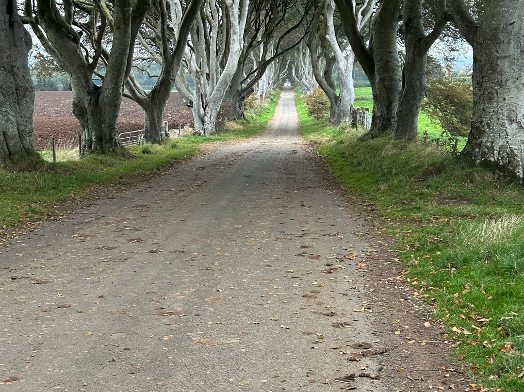 Giant Tours Ireland-贝尔法斯特必去景点