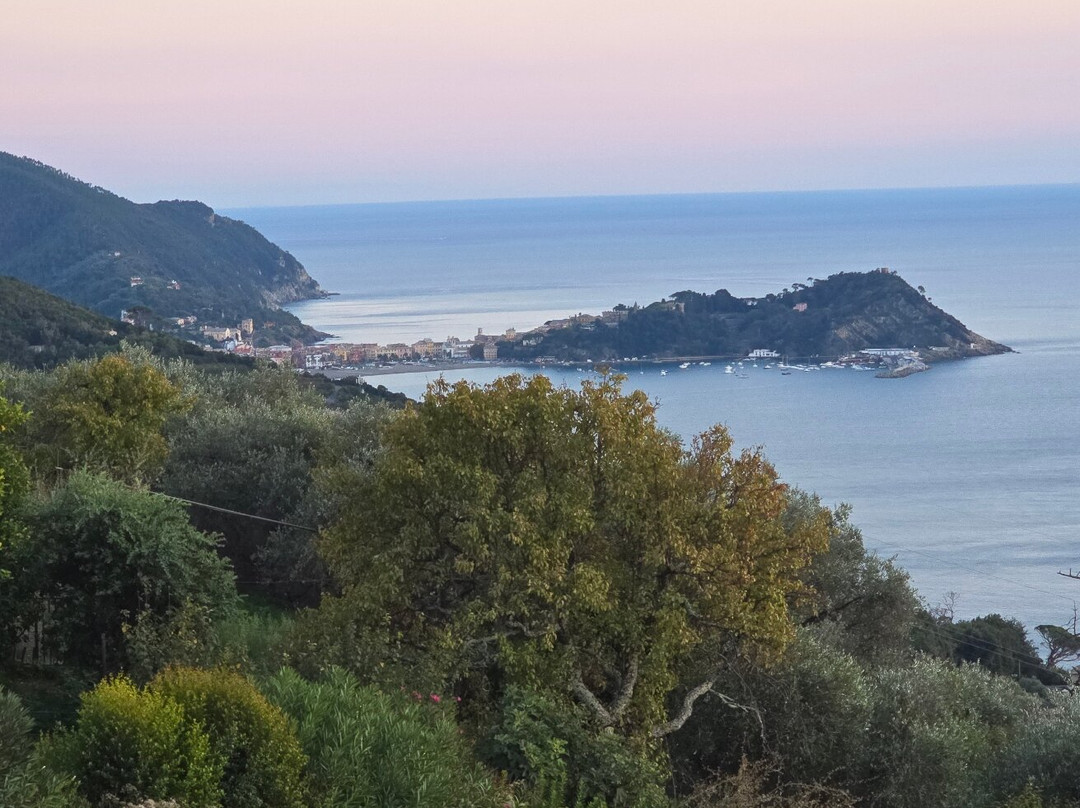 OliVenere Agriturismo主图