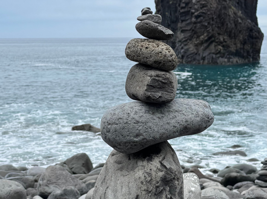 Safari Madeira Island-沙尔必去景点