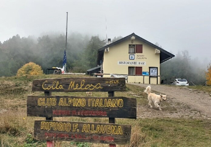 Rifugio F. Allavena主图