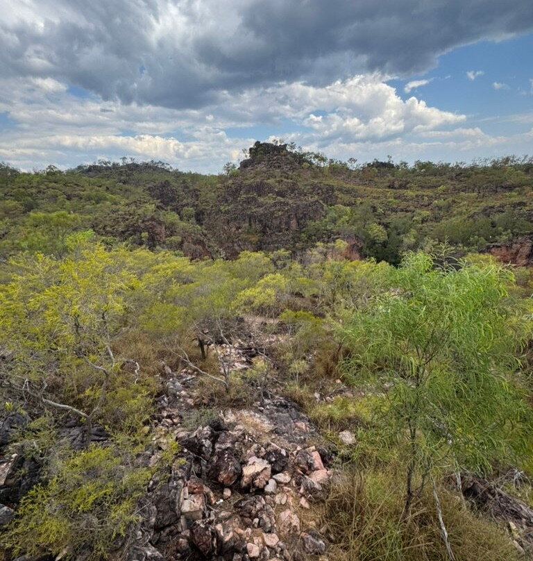 Tolmer Falls-Litchfield National Park必去景点
