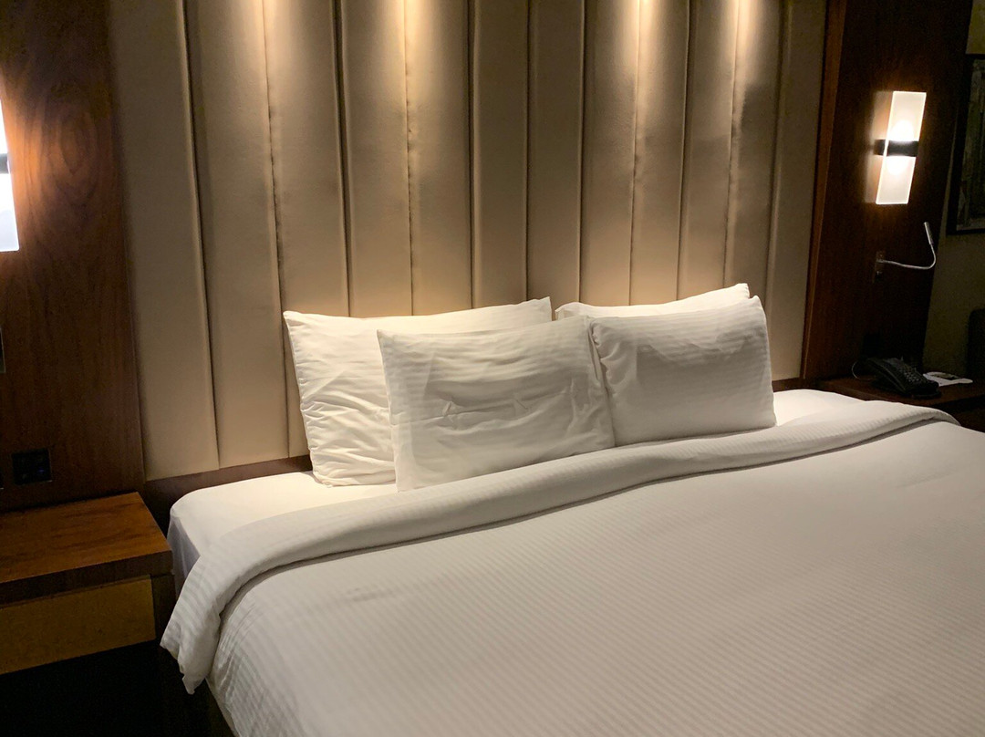 Royal Tulip Muscat主图