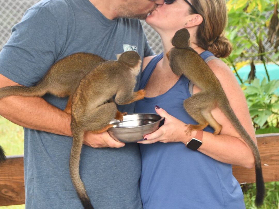 Monkey Home Puerto Plata-普拉塔港必去景点