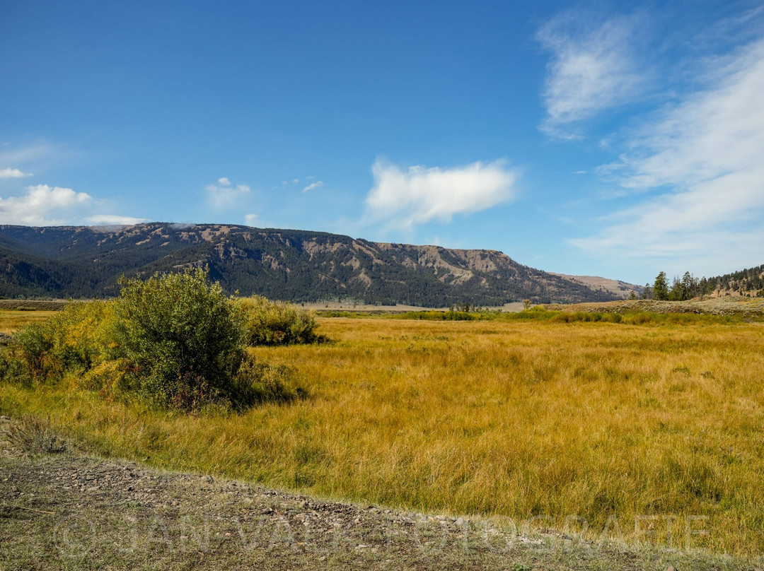 Yellowstone National Park-黄石国家公园必去景点