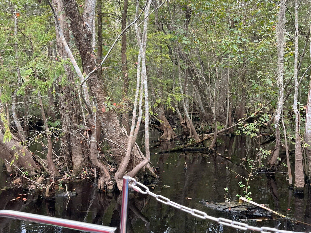 Swamp Fever Airboat Adventures-Lake Panasoffkee必去景点