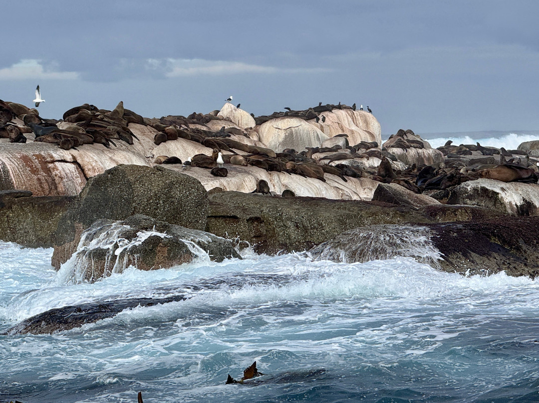 Drumbeat Charters-木湾必去景点