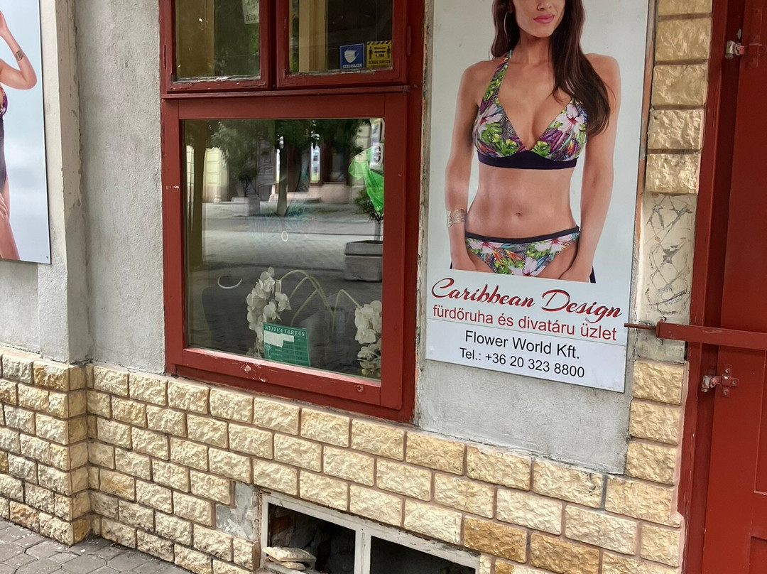 Magyar utca-Mosonmagyarovar必去景点