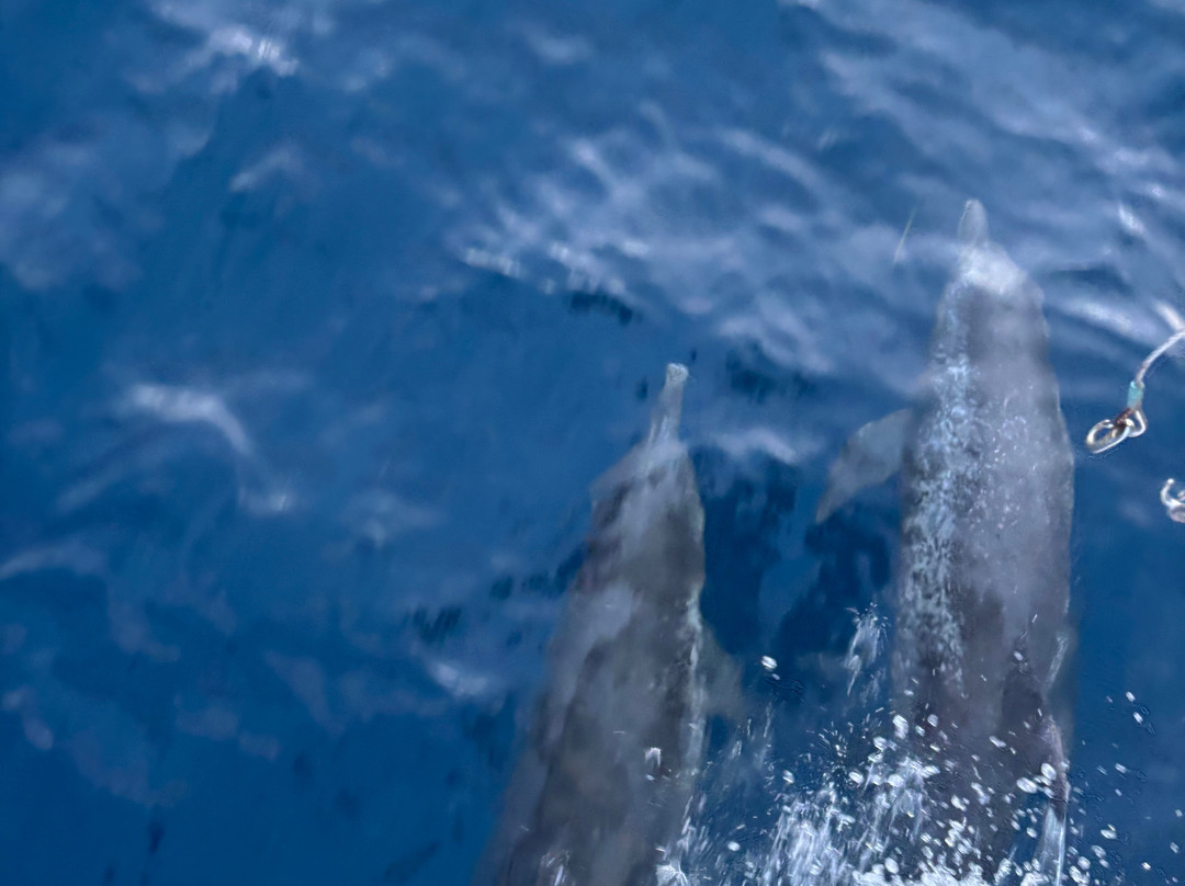 La Gitanita Sailing-Carti Tupile必去景点