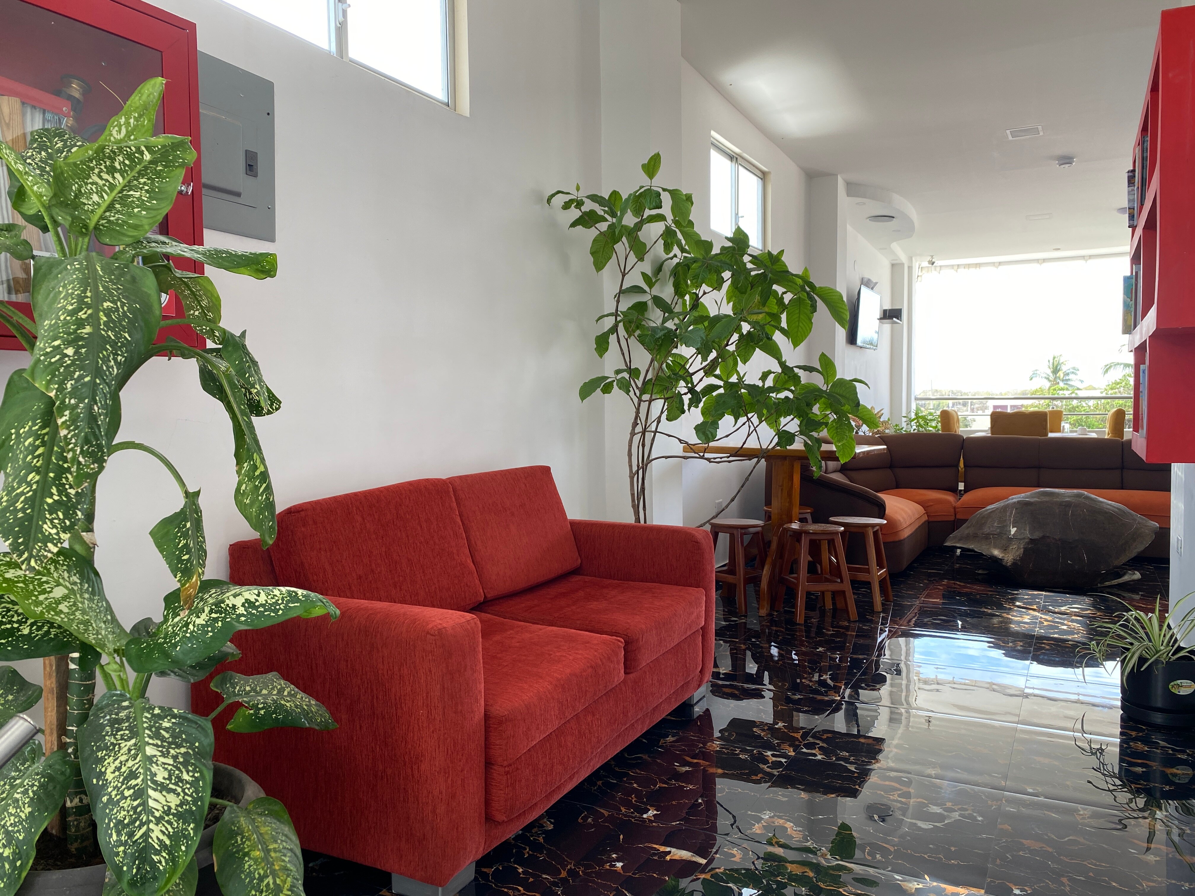 Patty's House-餐饮