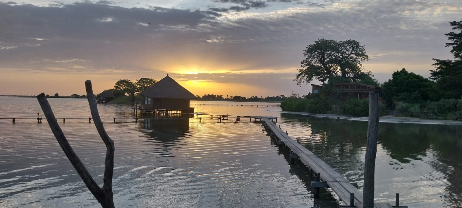 Les Collines De Niassam-官方