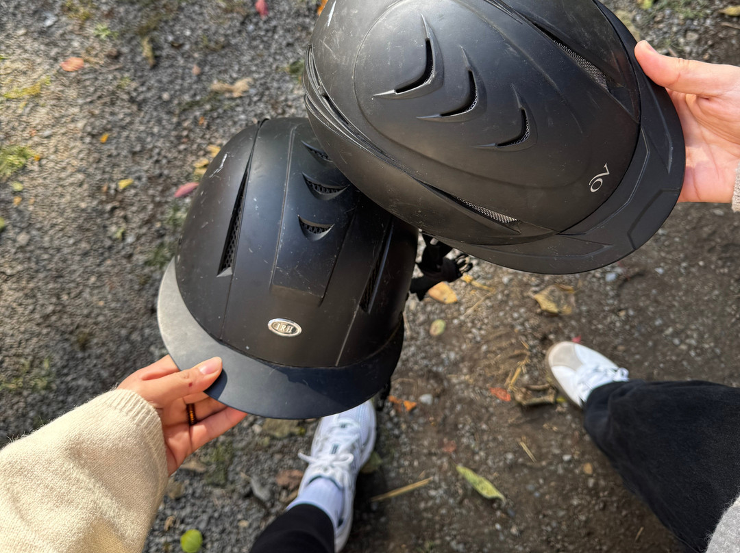 Marmon Valley Farm-Zanesfield必去景点