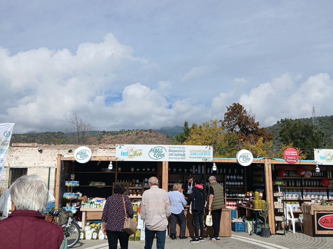 Güre Sahili-Gure必去景点