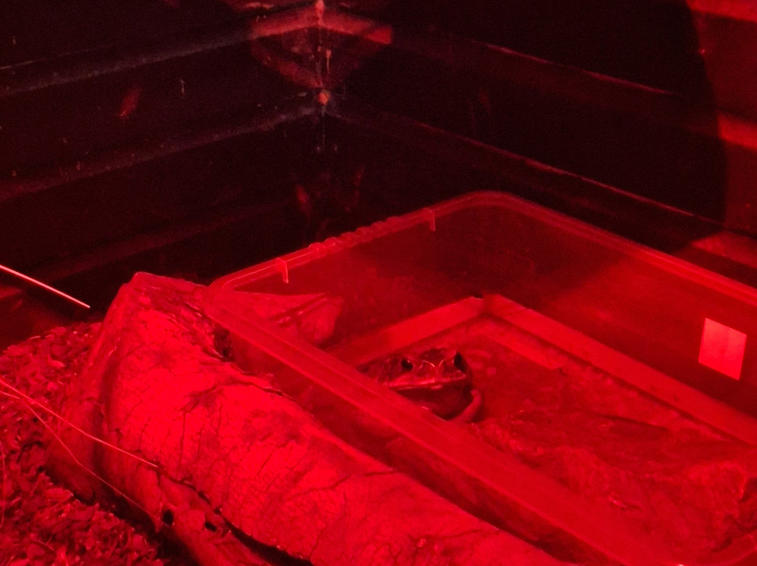 Exotic Zoo Wildlife Park + Natural History & Dino Museum-特尔福德必去景点