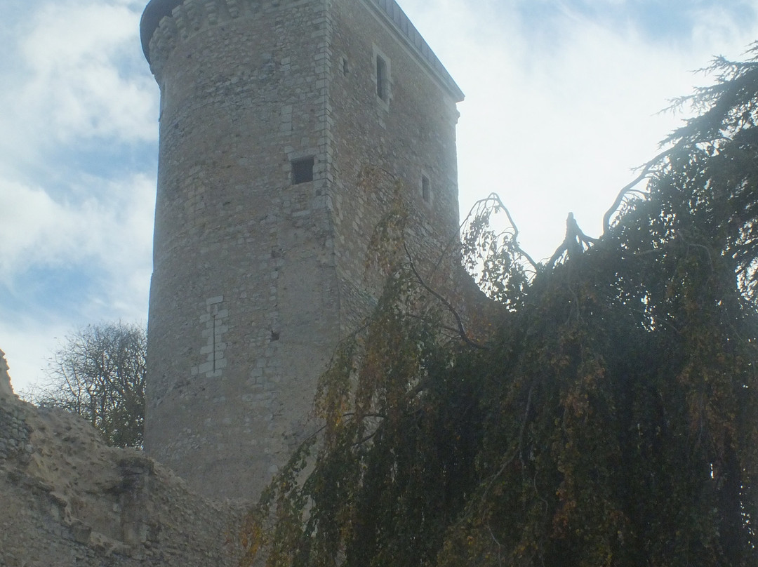 Château de Vendôme-旺多姆必去景点