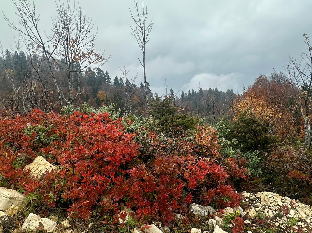 Khvamli Mountain-Tsqaltubo必去景点