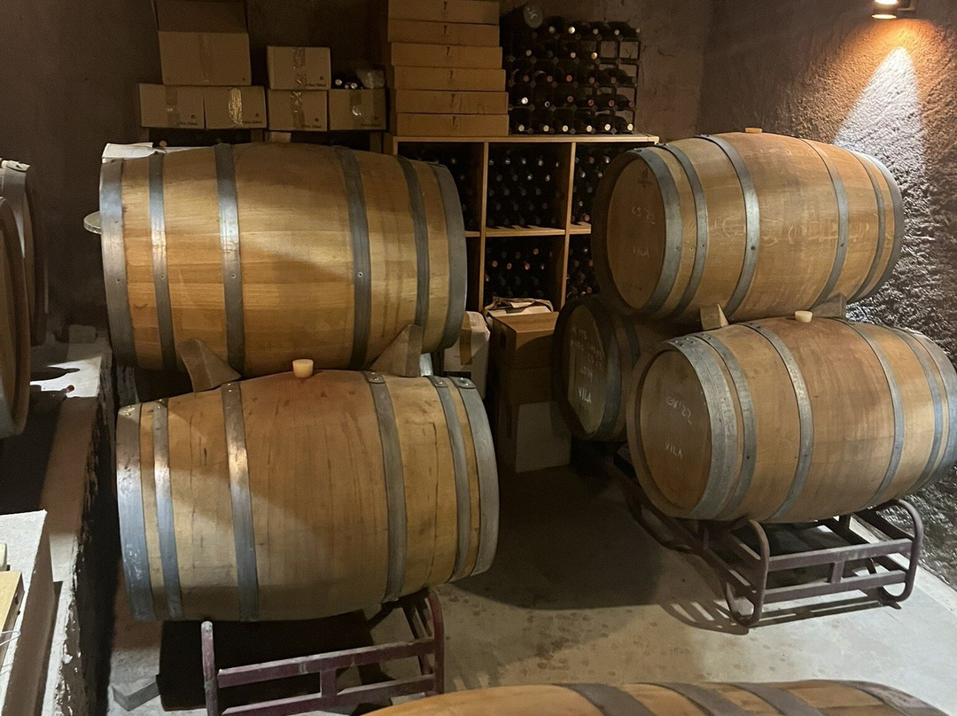 Celler Devinssi-Gratallops必去景点