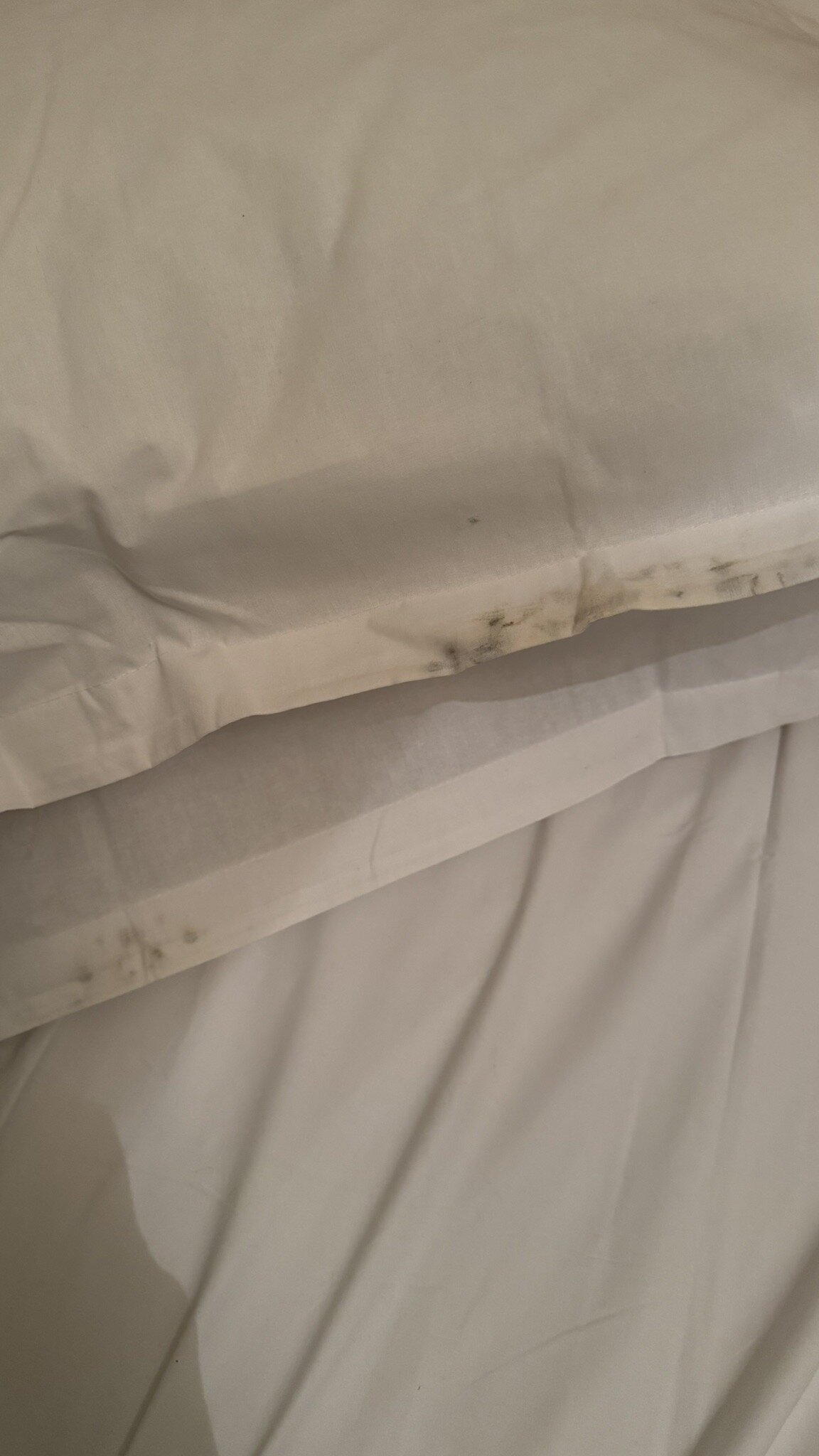 Résidence Le Domaine Du Green - Vacancéole-官方