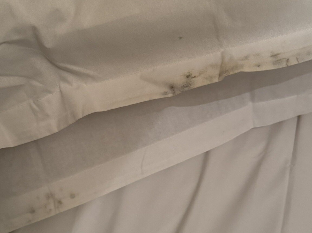 Résidence Le Domaine Du Green - Vacancéole主图