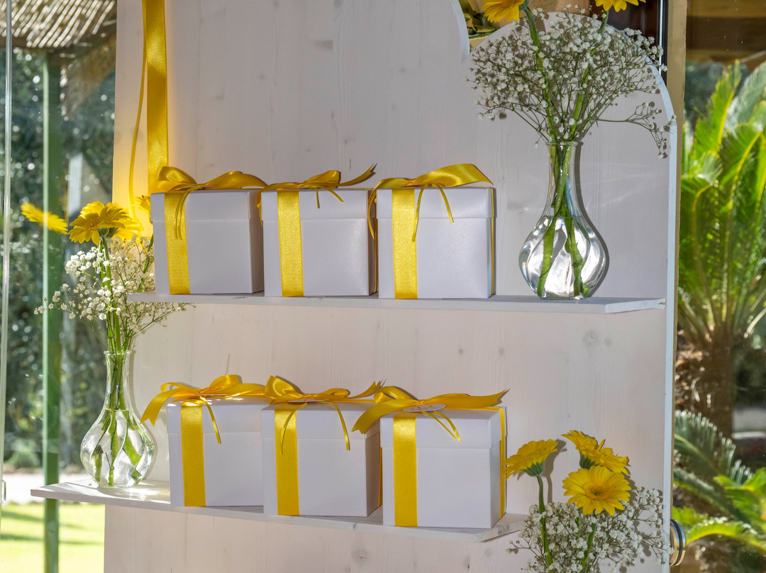 Agriturismo Casa Degli Ulivi主图