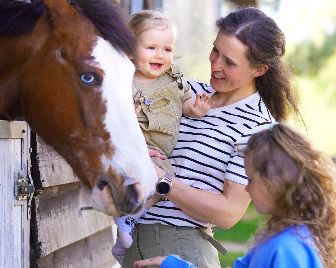 Van Der Valk Resort Linstow-官方