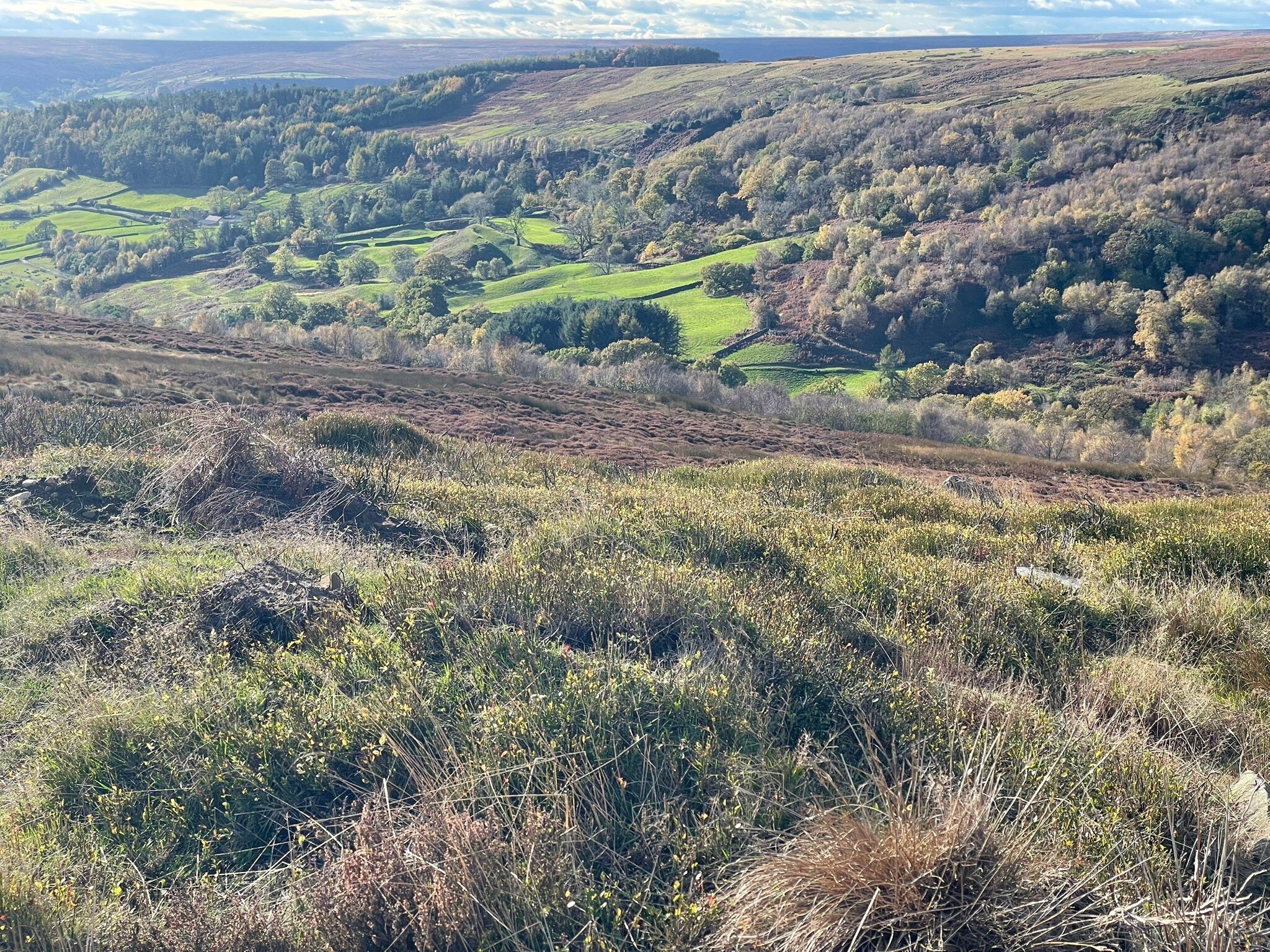 Sevenford House-官方